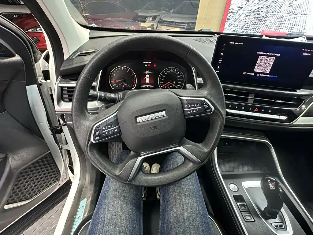 Haval H6 2022 — фото 10