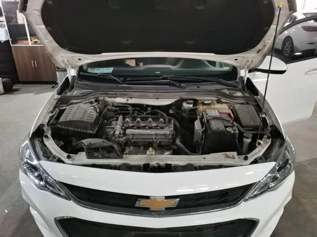 Chevrolet Cavalier 2018 — фото 20