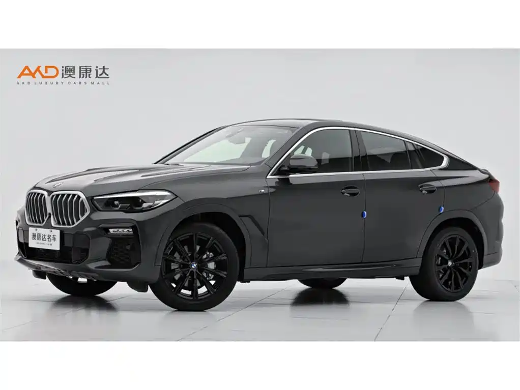 BMW X6 2021