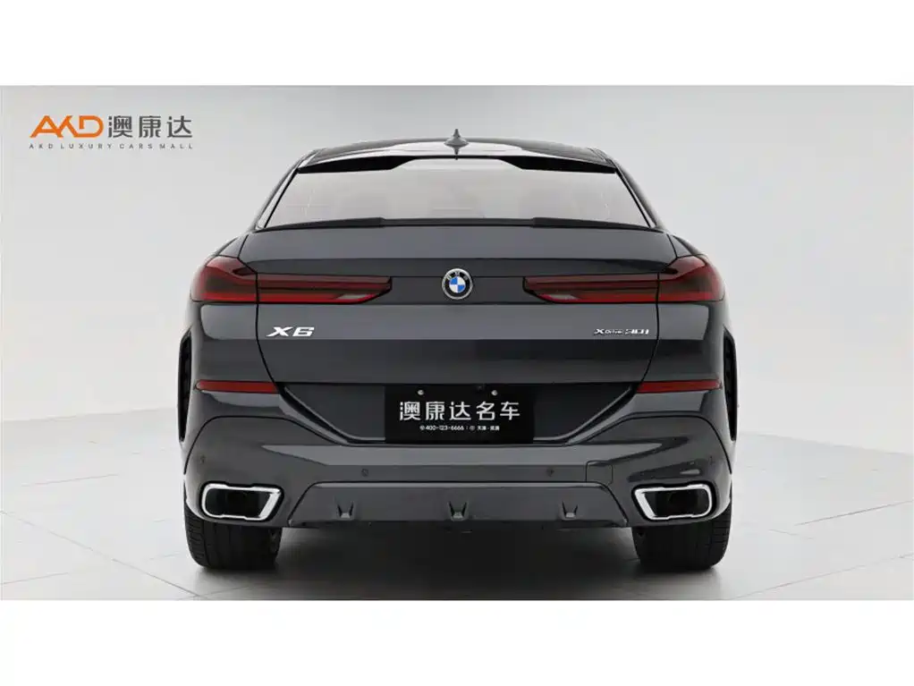 BMW X6 2021