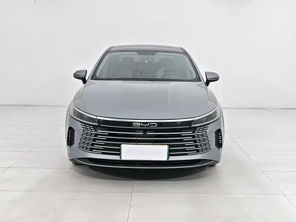 BYD Destroyer 05 2024