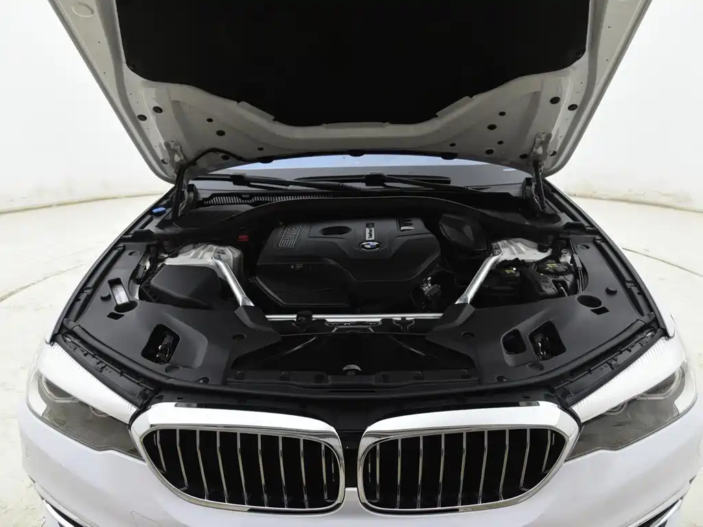BMW 5 Series 2018 — фото 16
