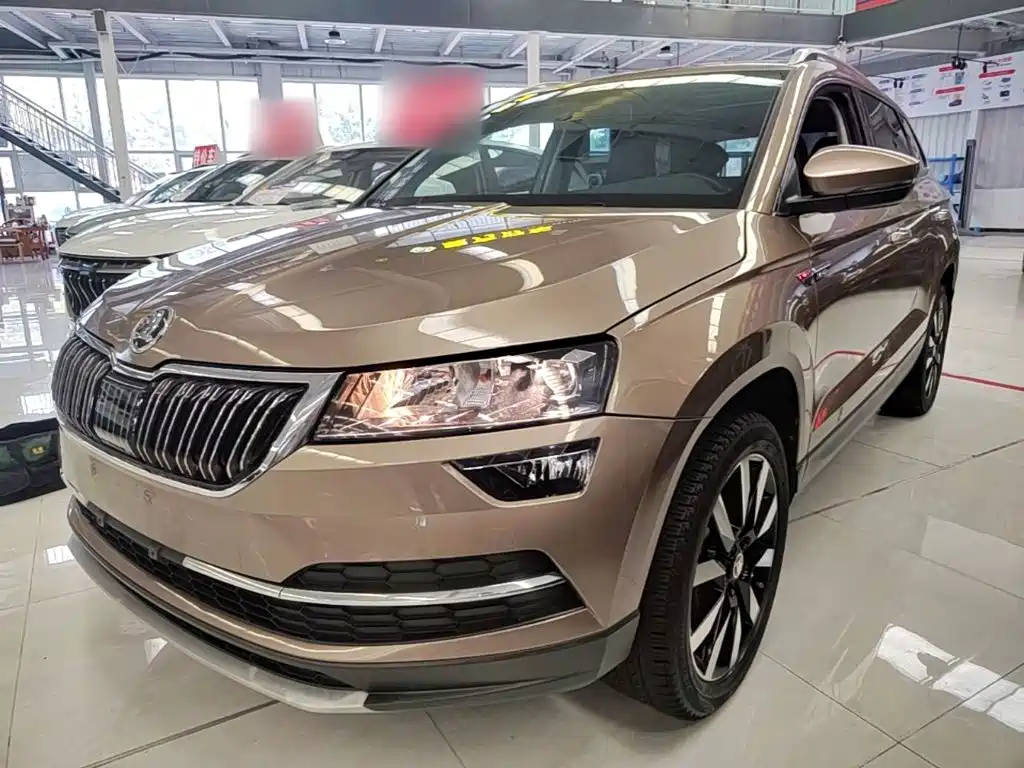Skoda Karoq 2019 — фото 1