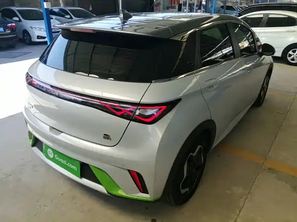 BYD Dolphin 2022