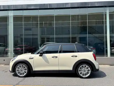MINI MINI 2022