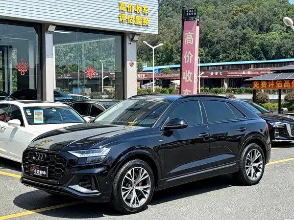 Audi Q8 2020