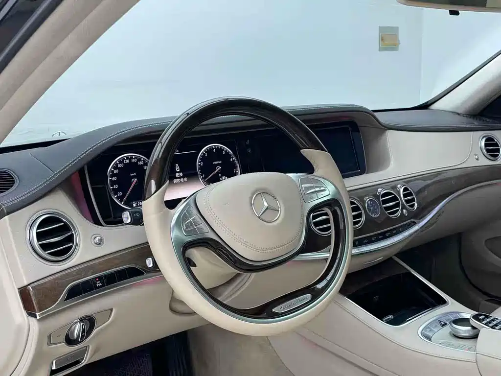 Mercedes-Benz S-Class 2013 — фото 11
