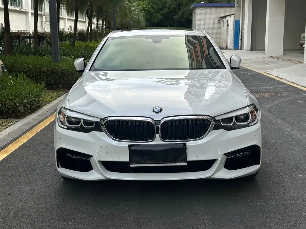 BMW 5 Series 2019