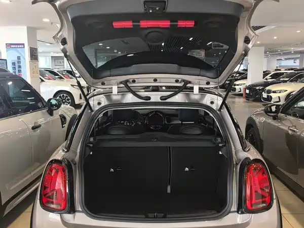 MINI MINI 2022