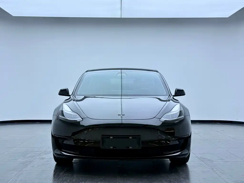 Tesla Model 3 2021 — фото 2