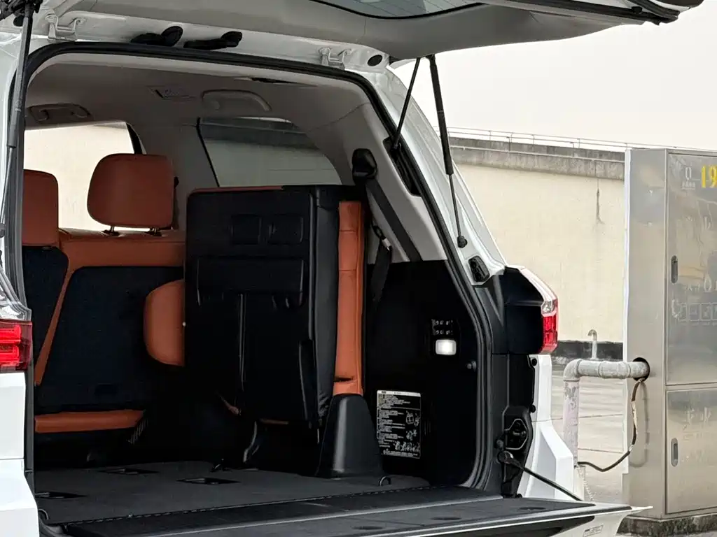 Lexus LX 2019 — фото 18