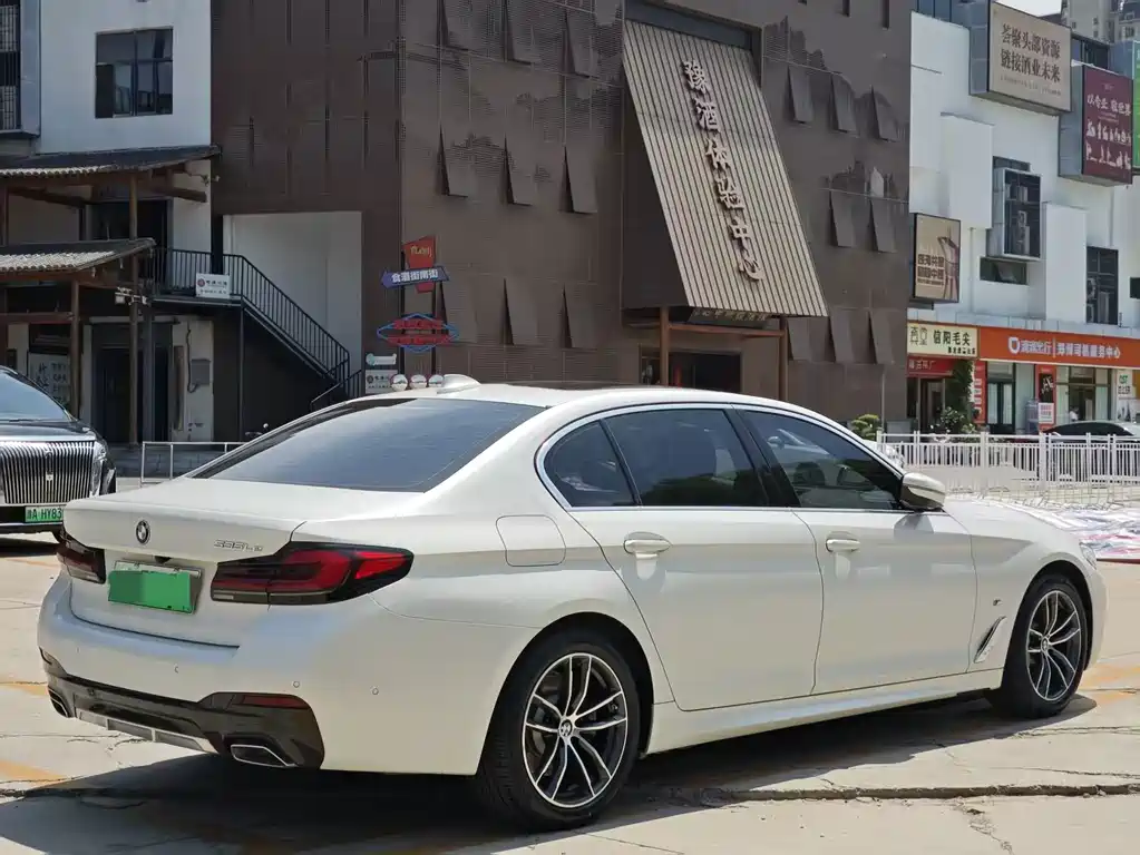 BMW 5 Series New Energy 2021 — фото 18