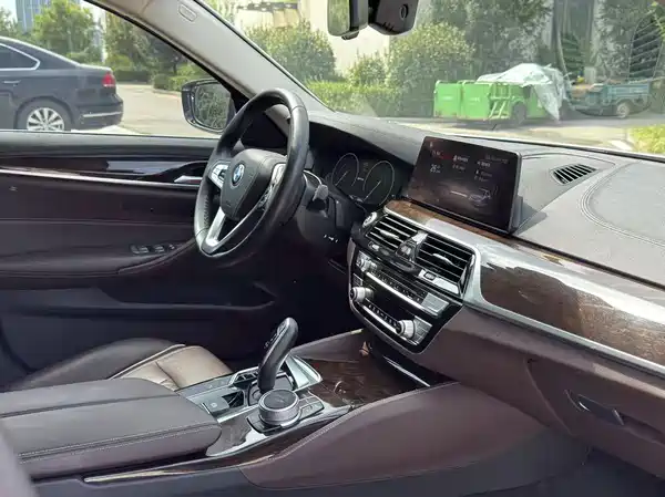 BMW 5 Series New Energy 2019
