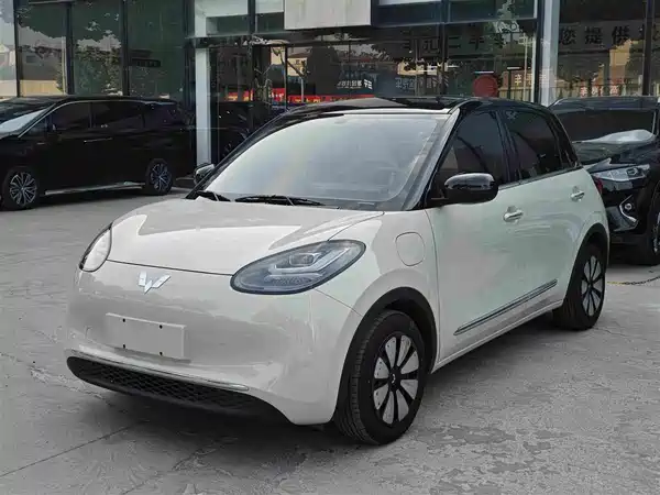 Wuling Bingo 2024