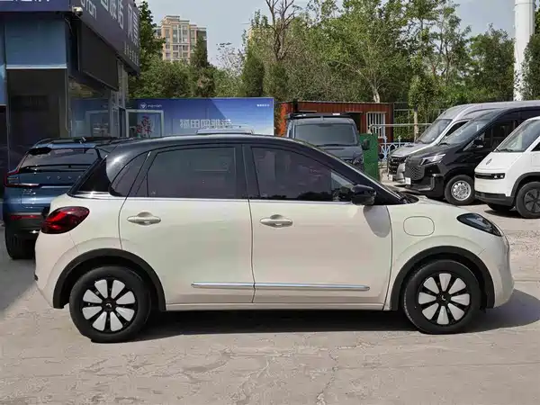 Wuling Bingo 2024