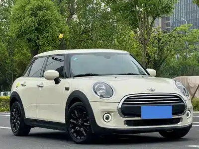 MINI MINI 2020