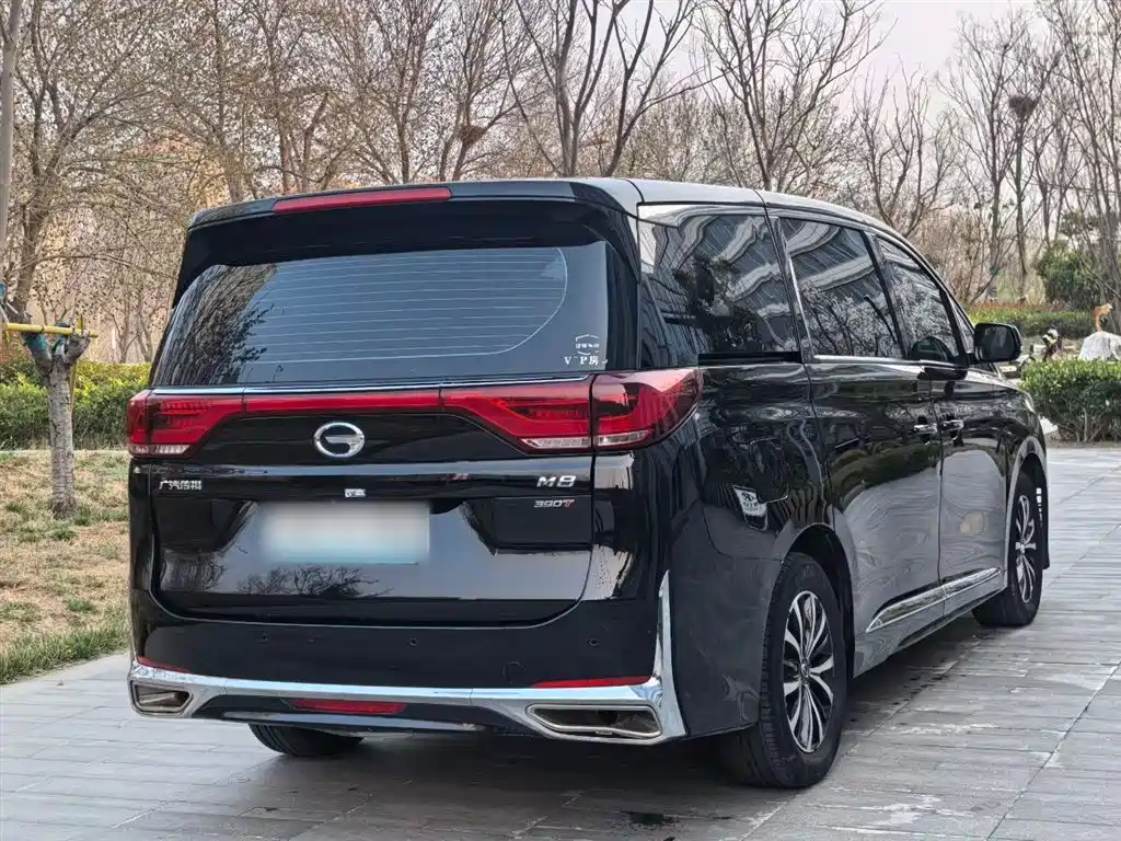 GAC Motor Trumpchi M8 2023 — фото 16