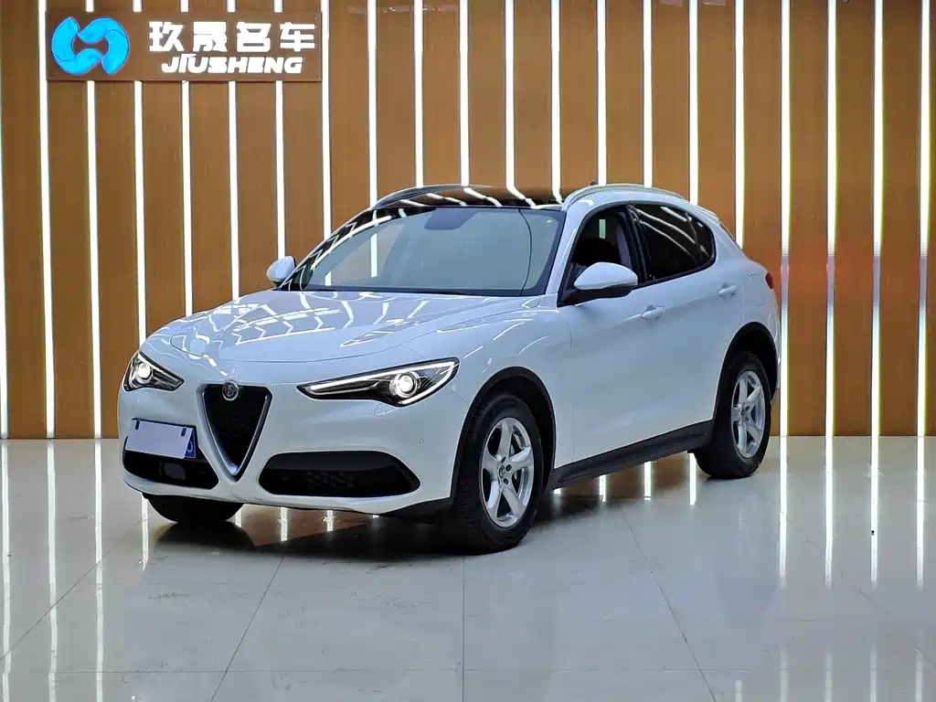 Alfa Romeo Stelvio 2019 — фото 1
