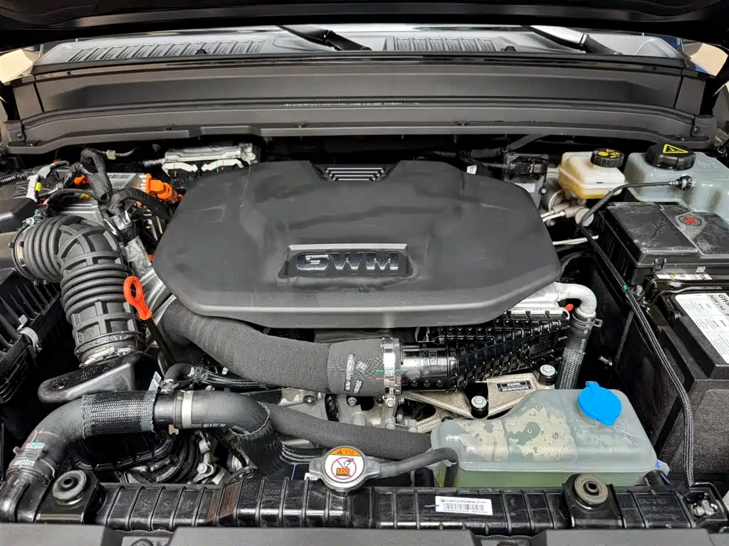 Tank 300 New Energy 2025