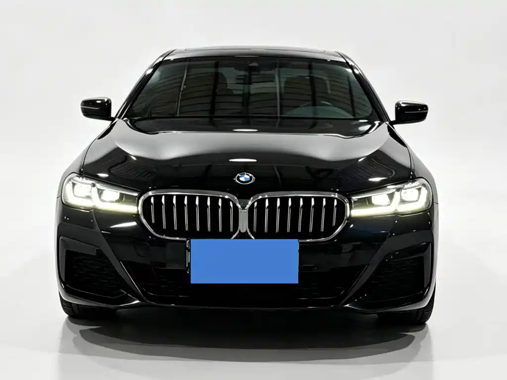 BMW 5 Series New Energy 2021