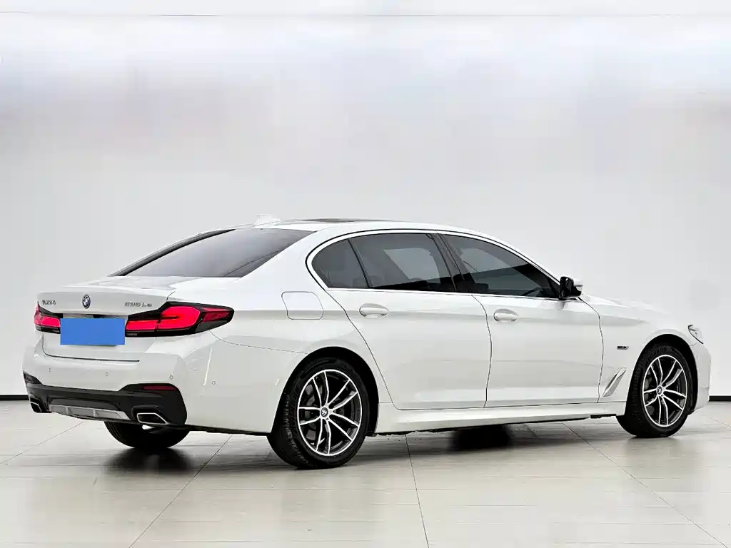BMW 5 Series New Energy 2021