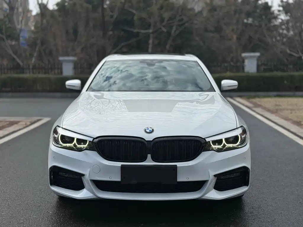BMW 5 Series 2019