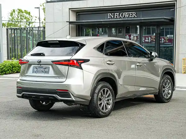 Lexus NX 2020