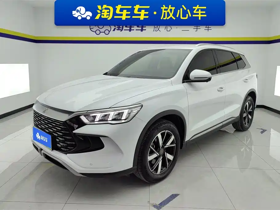 BYD Pro New Energy 2024 — фото 1