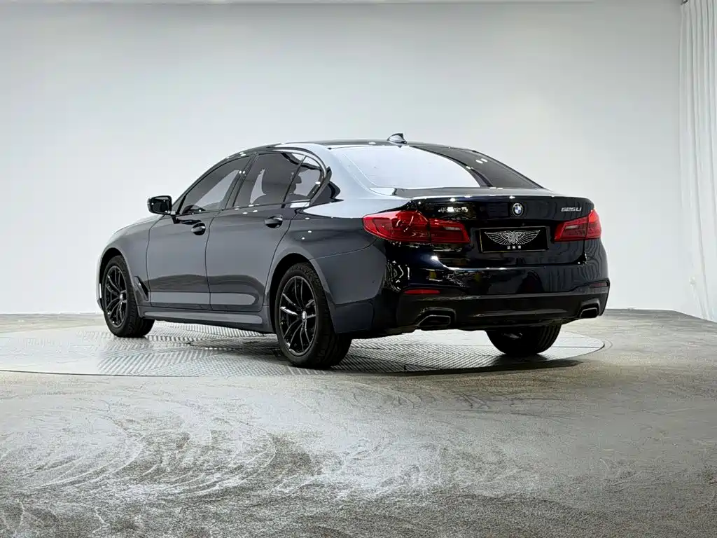 BMW 5 Series 2019
