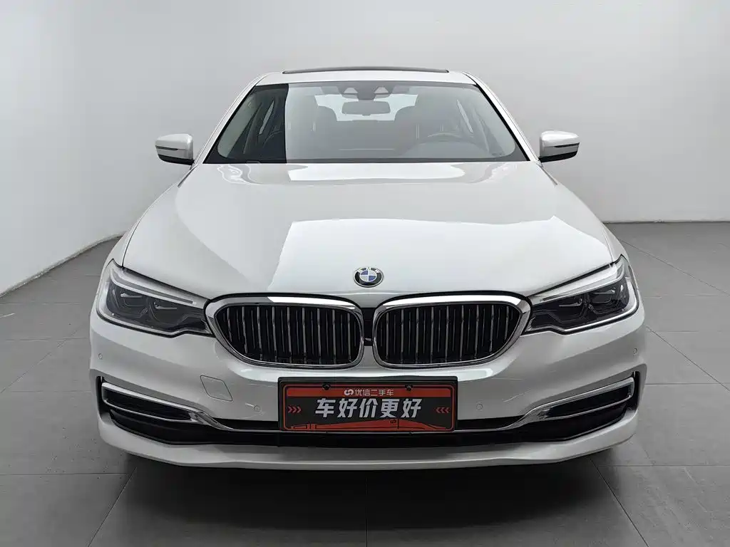 BMW 5 Series New Energy 2019