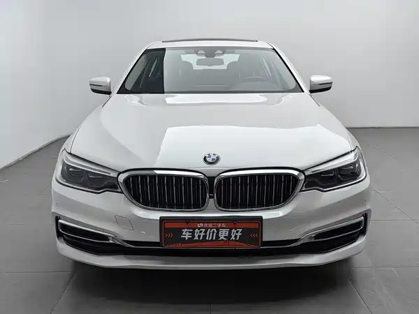 BMW 5 Series New Energy 2019