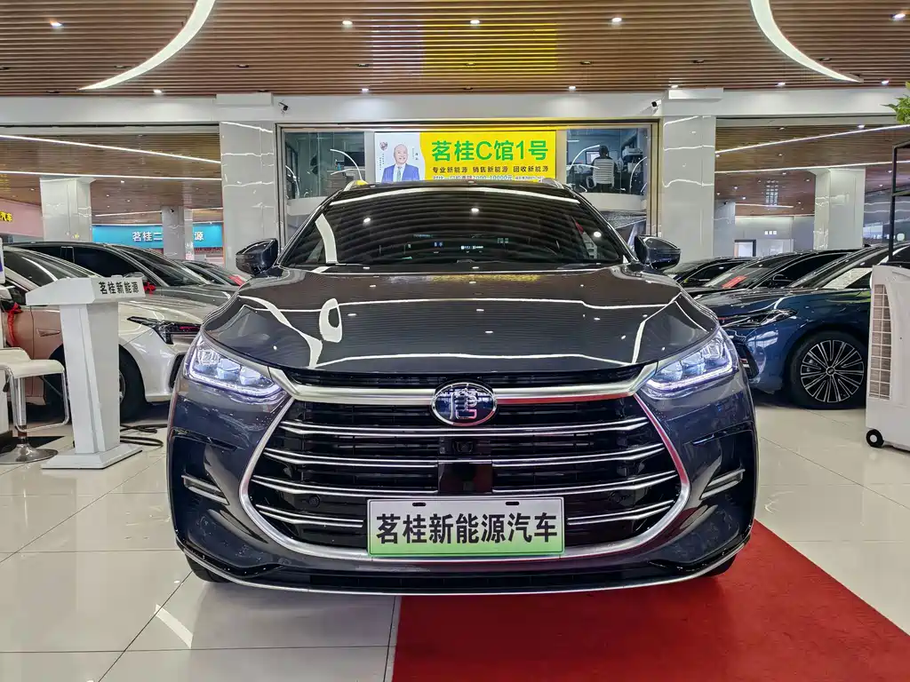 BYD Tang New Energy 2024 — фото 2