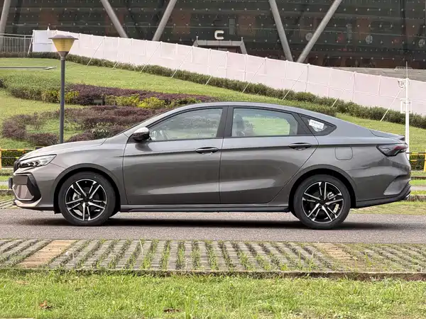 Geely Binrui 2024