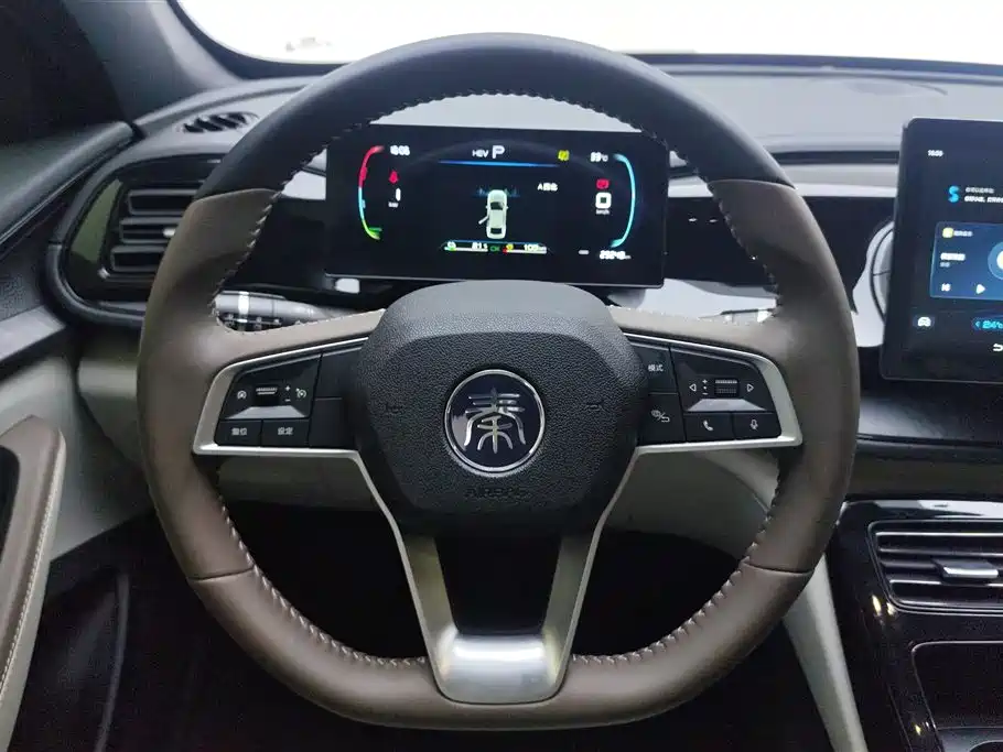 BYD Qin PLUS 2024 — фото 15