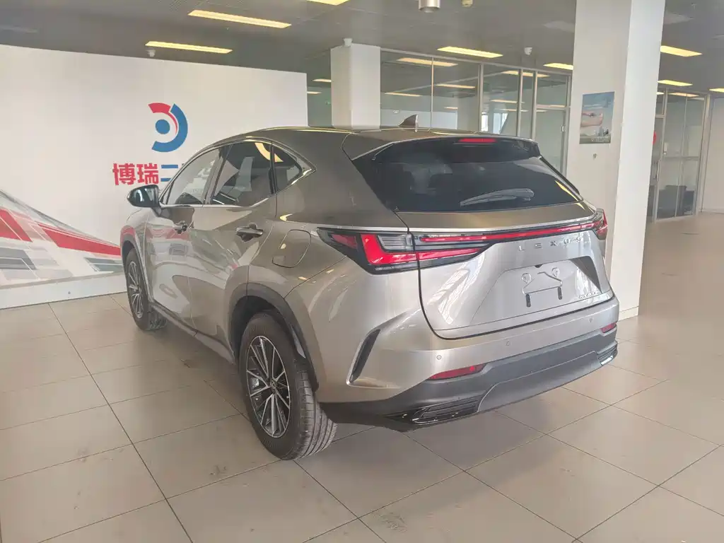 Lexus NX New Energy 2022 — фото 26