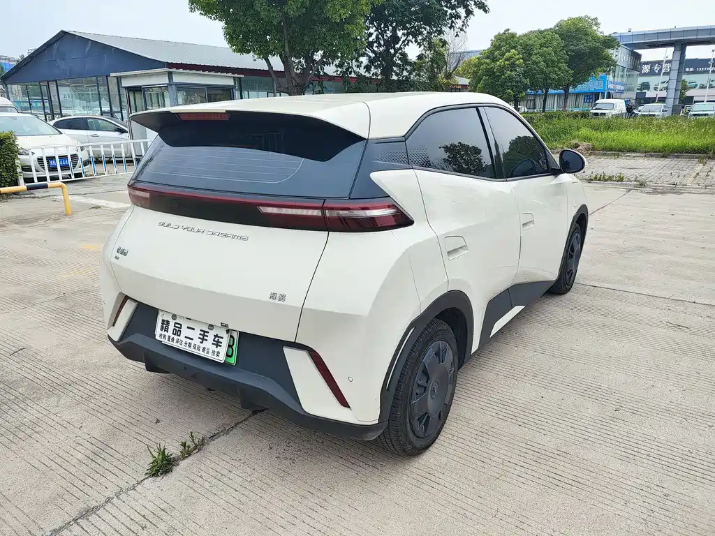BYD Seagull 2024