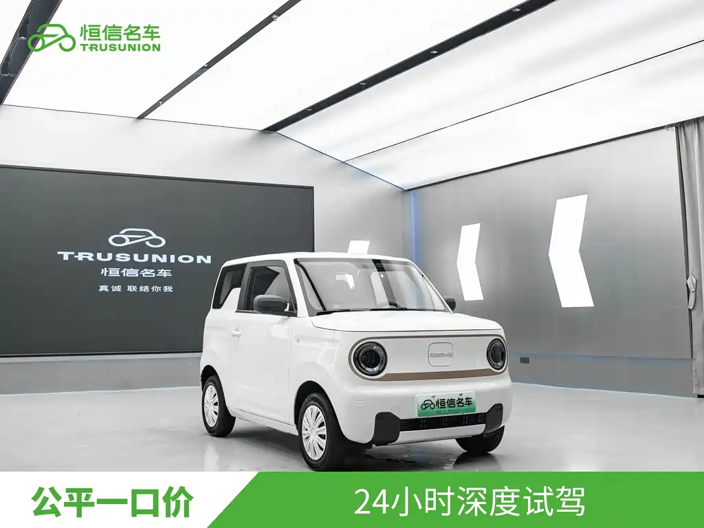 Galaxy Panda 2025