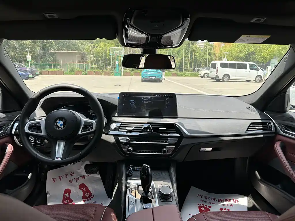 BMW 5 Series New Energy 2021