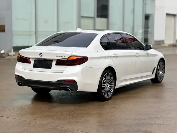 BMW 5 Series 2019