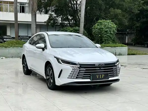 BYD Destroyer 05 2023