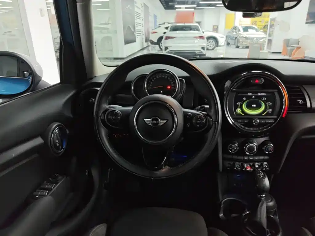 MINI MINI 2018 — фото 11