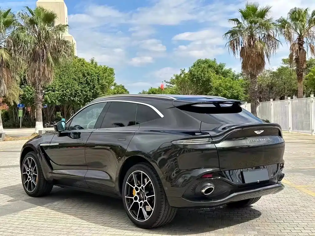 Aston Martin DBX 2022 — фото 6