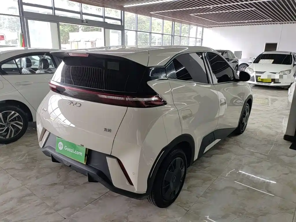 BYD Seagull 2025
