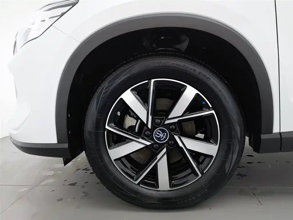 BYD Pro New Energy 2024 — фото 17