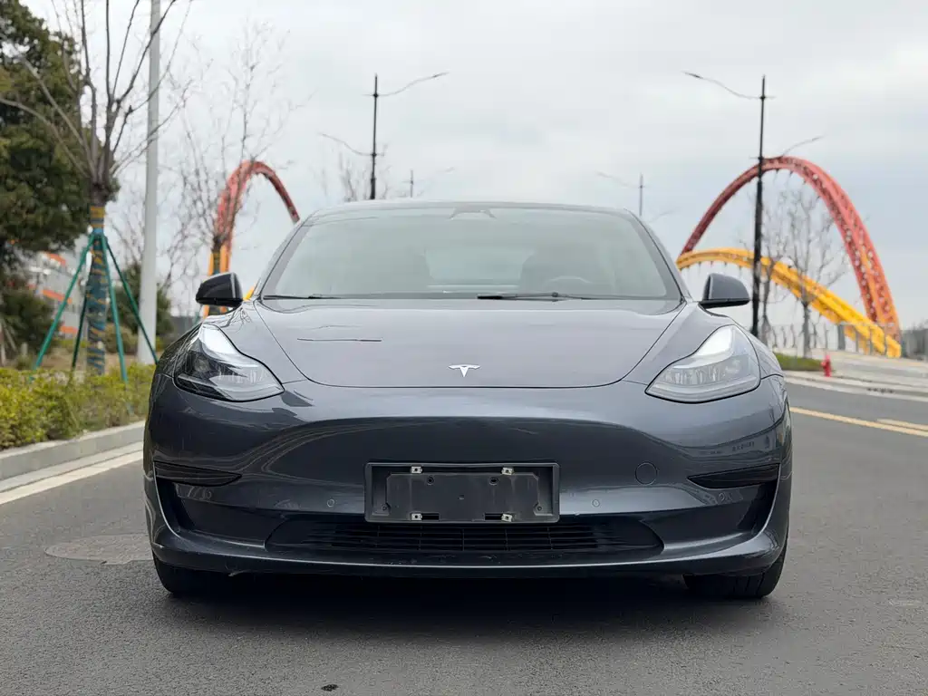 Tesla Model 3 2021 — фото 2