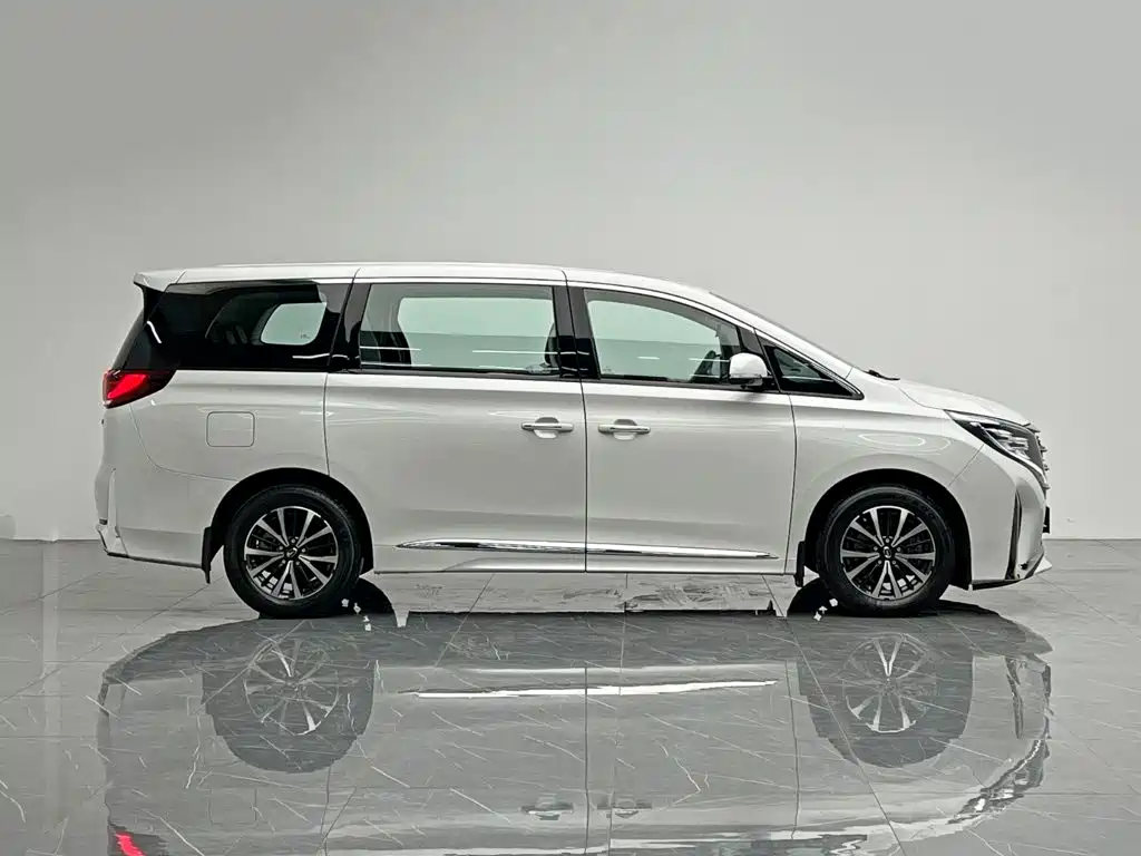 GAC Trumpchi M8 2024 — фото 7