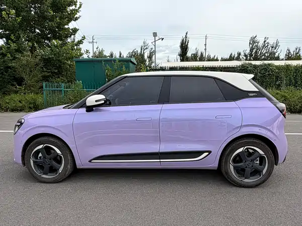 Dongfeng Nano 01 2025