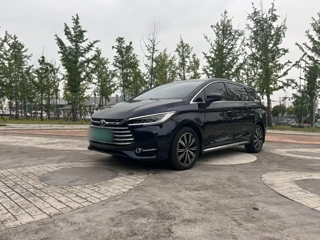 BYD Song MAX New Energy 2019 — фото 1