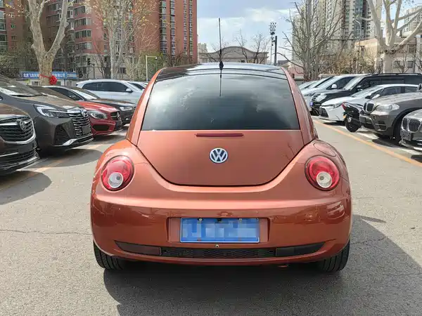 Volkswagen Beetle 2010