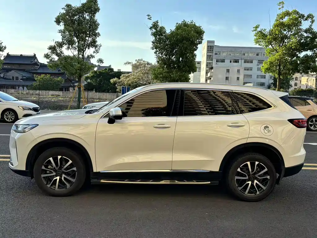 Haval H6 2021 — фото 4